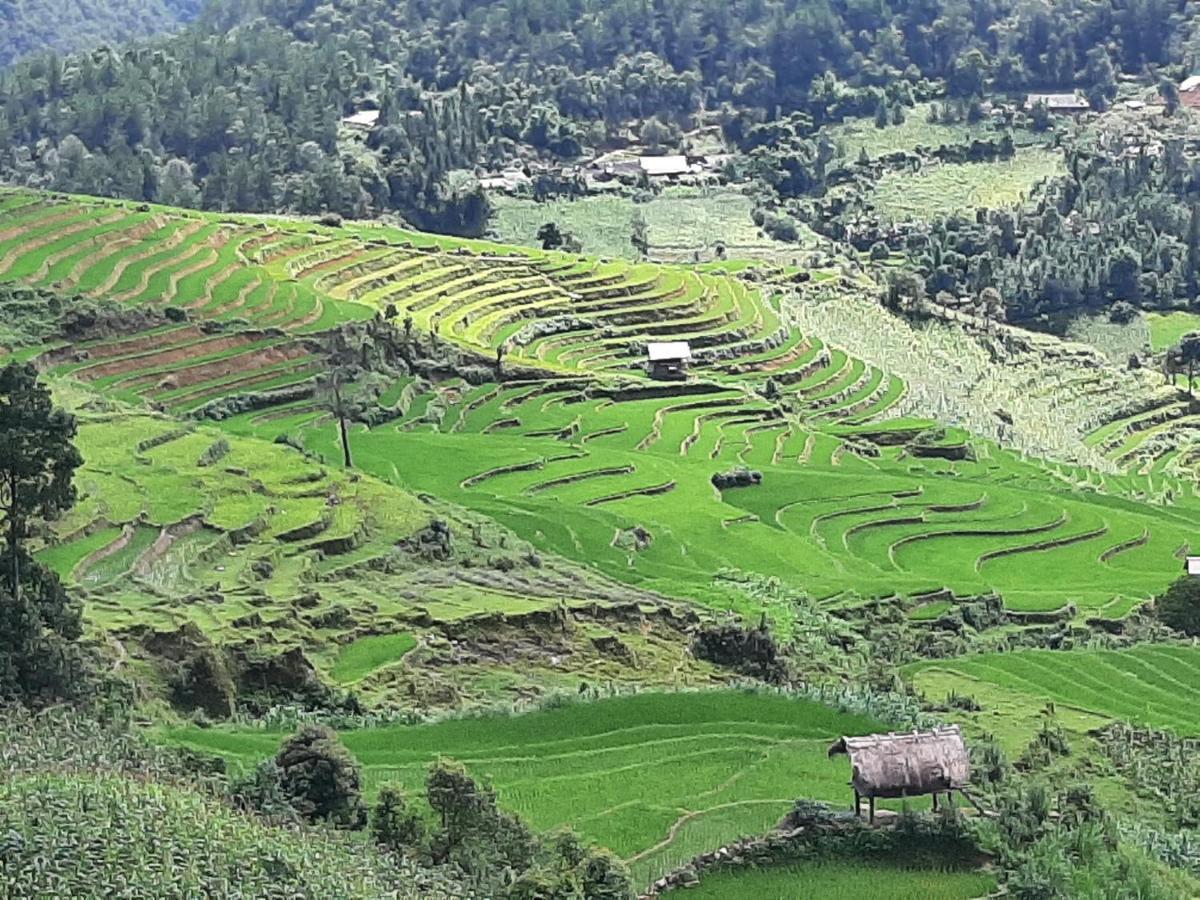 Dong Suoi H'Mong Homestay & Bungalow - Trek & Vegetarian Food Mu Cang Chai Exteriér fotografie