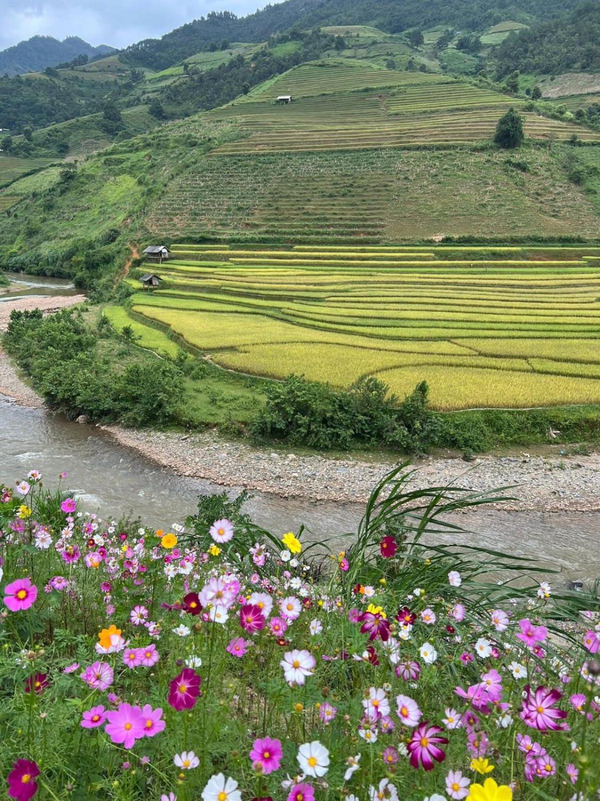 Dong Suoi H'Mong Homestay & Bungalow - Trek & Vegetarian Food Mu Cang Chai Exteriér fotografie