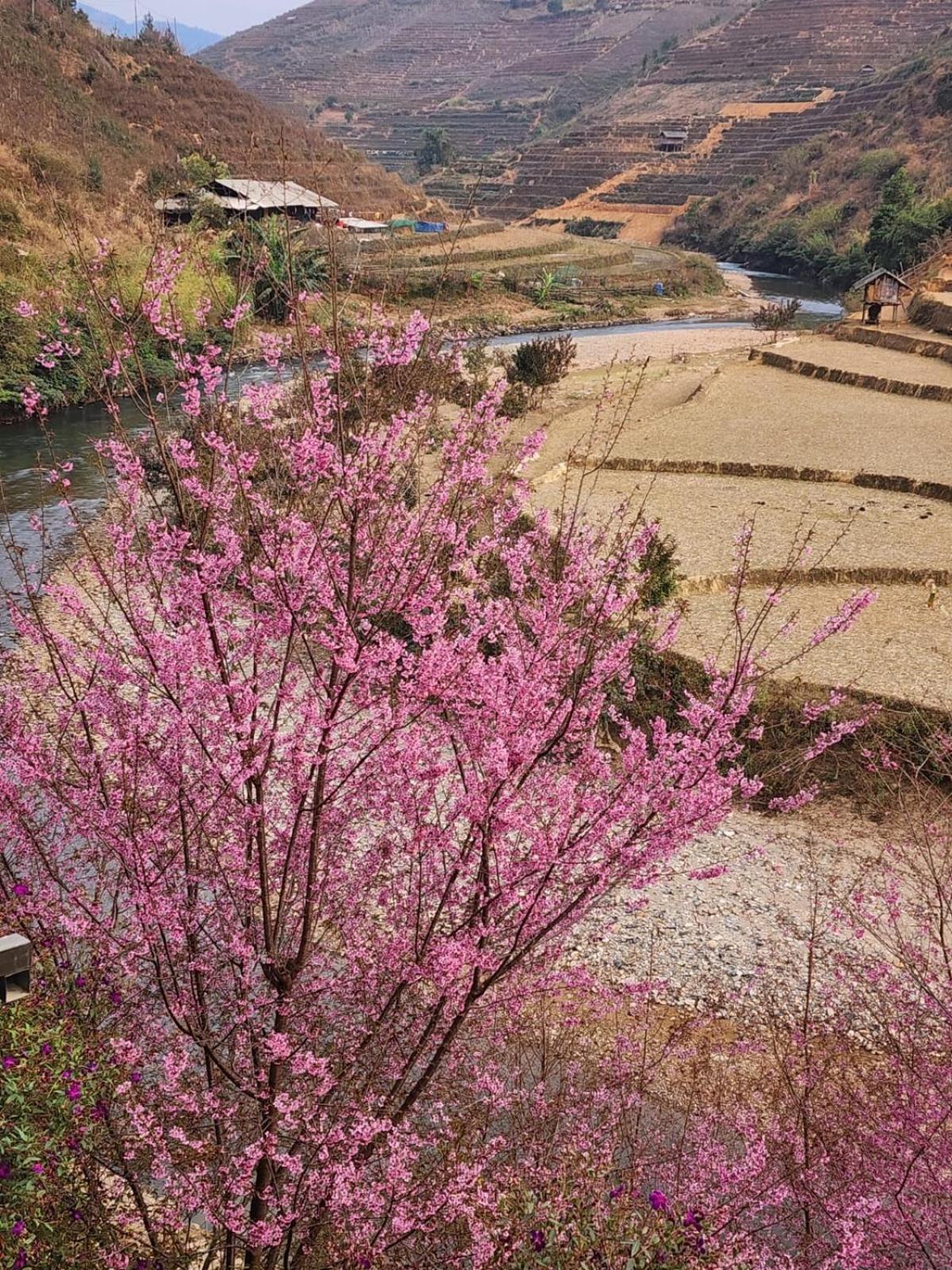 Dong Suoi H'Mong Homestay & Bungalow - Trek & Vegetarian Food Mu Cang Chai Exteriér fotografie